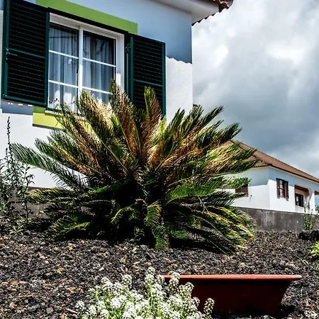 Holiday home Tomas - Oceanview Sao Joao (Pico Island)
